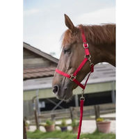 Produktbild von Ekkia Shetty Halfter aus Kunststoff für Ponys in Rosa oder Rot