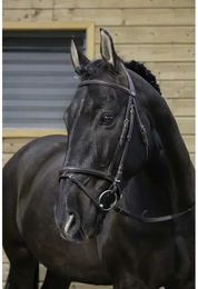 Ekkia Trensenzaum aus Leder für Warmblut in Schwarz – Bild 1 von 3