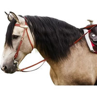 Produktbild von EKKIA Two Tone Leder Trense für Pferde in Braun und Natur