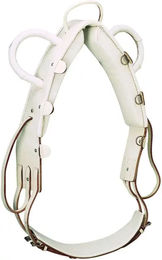 Produktbild von Ekkia Voltigiergurt Norton aus Leder für Ponys in Weiß