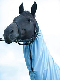 Ekzemer Halsteil Extensive Zip Blau XS zur Wundpflege – Bild 1 von 3