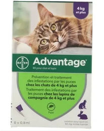Elanco Advantage Flohhalsband für kleine Hunde 4-10 kg – Bild 1 von 1