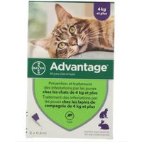 Produktbild von Elanco Advantage Flohhalsband für kleine Hunde 4-10 kg