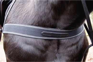 Produktbild von Elastische Kopfstange für Pferdegeschirr T de T aus Leder in Schwarz