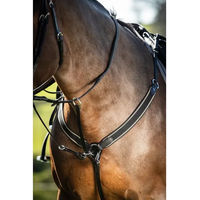 Produktbild von Elastisches Leder-Vorderzeug für Pferde und Ponys HFI