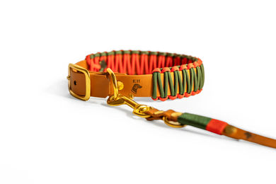 Produktbild von Elbhunde Biothane Paracord Halsband Crimson Pine Größe M wasserfest