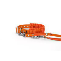 Produktbild von Elbhunde Biothane Paracord Halsband und Classic Leine Fireball Orange Größe S waterproof für Welpen