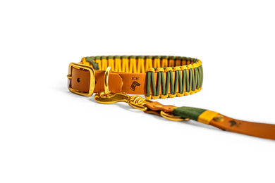 Elbhunde Biothane Paracord Halsband und Leine Set Honey Grove Größe M wasserfest bunt – Bild 1 von 1