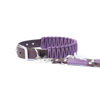 Produktbild von Elbhunde Biothane Paracord Halsband und Leine Set Mauve Lila Größe M wasserfest