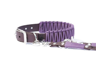 Produktbild von Elbhunde Biothane Paracord Halsband und Leine Set Mauve XS wasserfest