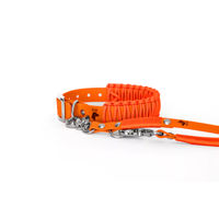 Produktbild von Elbhunde Biothane Paracord Halsband und Umhängeleine Set KISS ME NEONorange Größe S waterproof