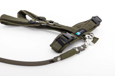 Elbhunde Set aus Halsband, Leine und Brustgeschirr aus Biothane in Oliv für Welpen Größe S waterproof – Bild 1 von 1