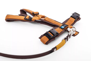 Elbhunde Set aus Leine und Brustgeschirr aus Biothane in Braun-Bernstein Größe M waterproof – Bild 1 von 1