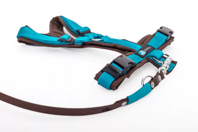 Elbhunde Set aus Leine und Brustgeschirr aus Biothane in Braun-Petrol Größe L waterproof – Bild 1 von 1