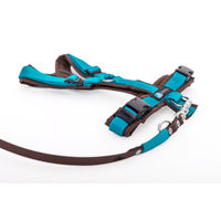 Produktbild von Elbhunde Set aus Leine und Brustgeschirr aus Biothane in Braun-Petrol Größe L waterproof