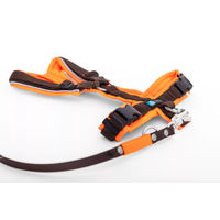 Produktbild von Elbhunde Set aus Leine und Brustgeschirr aus Biothane in Neonorange-Braun Größe S waterproof