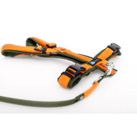 Produktbild von Elbhunde Set aus Leine und Brustgeschirr aus Biothane in Oliv-Orange Größe L waterproof