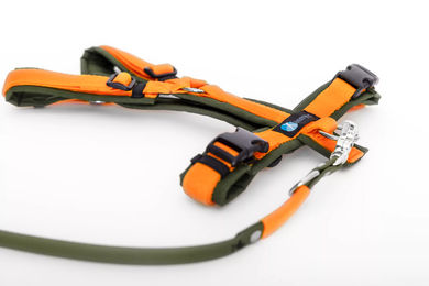 Elbhunde Set aus Leine und Brustgeschirr aus Biothane in Oliv-Orange Größe M waterproof – Bild 1 von 1