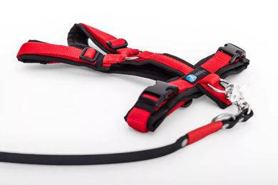 Elbhunde Set aus Leine und Brustgeschirr aus Biothane in Schwarz-Rot Größe M waterproof für Welpen – Bild 1 von 1