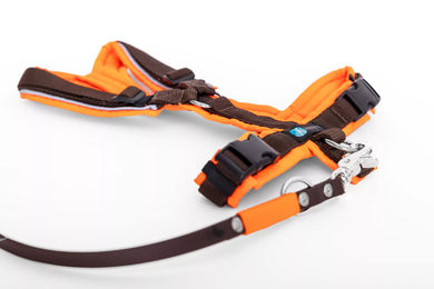 Elbhunde Set aus Leine und Brustgeschirr Biothane wasserfest Neonorange-Braun Größe S – Bild 1 von 1