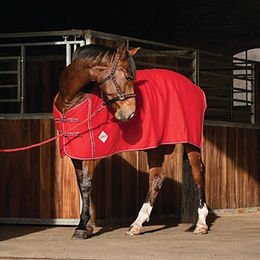 Produktbild von Eldorado Fleecedecke Rot 155 cm - 155 cm