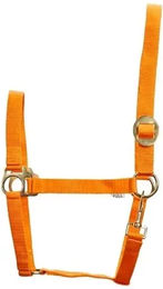 Eldorado Pferde-Halfter HorseGuard aus Nylon in Orange für Vollblut – Bild 1 von 2