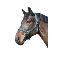 Produktbild von Eldorado Pferde-Halfter Standard aus Nylon für Warmblut in Grün