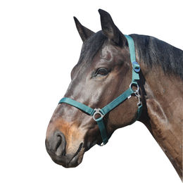 Eldorado Pferde-Halfter Standard für Ponys aus Nylon in Grün – Bild 1 von 2
