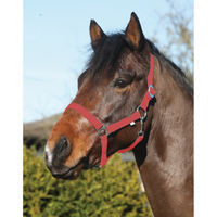Produktbild von Eldorado Pferde-Halfter Standard für Warmblut aus Nylon in Rot
