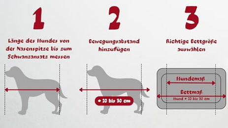 elGiga orthopädisches Hundebett Moritz Grau S 60 x 45 cm mit waschbarem Bezug – Bild 1 von 3