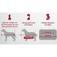 Produktbild von elGiga orthopädisches Hundebett Moritz Grau S 60 x 45 cm mit waschbarem Bezug