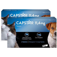 Produktbild von Eli Capstar Tabletten gegen Flöhe für Katzen und kleine Hunde, 6 Stück