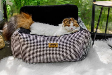 Elite Puppy Hundautositz mit Memory Foam und wasserabweisendem Bezug in Schwarz für kleine bis mittlere Hunde bis 14kg – Bild 1 von 3