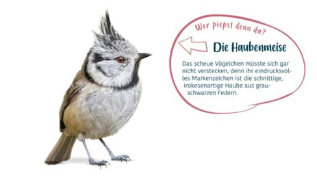 Elles Seidenraupen Insektenfutter für Wildvögel 125g - 125 g – Bild 1 von 4