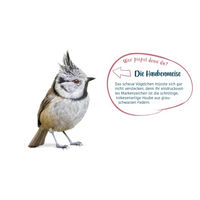 Produktbild von Elles Seidenraupen Insektenfutter für Wildvögel 125g - 125 g