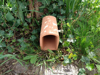 ELMATO Kleintiertunnel Twintonröhre aus Keramik für Kaninchen Braun 25x11x14 cm – Bild 1 von 6