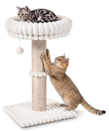 Elzusha Katzenkratzbaum mit Liegefläche und Sisalstamm für kleine bis mittelgroße Katzen in Creme aus Plüsch und Sisal – Bild 1 von 2