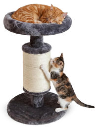 Elzusha Kratzbaum Dublin für Katzen aus Sisal und Stoff in Grau mit 58 cm Höhe – Bild 1 von 4