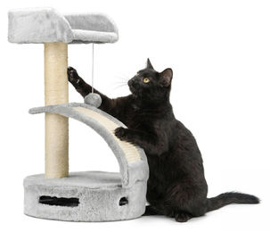 Elzusha Kratzbaum für Katzen mit Spielzeug aus Plüsch und Sisal in Grau, 58 cm Höhe – Bild 1 von 3