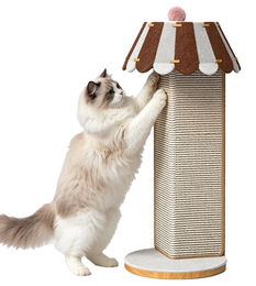 Elzusha Kratzsäule für Katzen aus Naturmaterial mit Sisal 55 cm – Bild 1 von 3