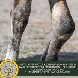 EMMA Essigsaure Tonerde für Pferde ohne Arnika 3x1,5kg kühlende Heilerde Paste zur Regeneration - 3 x 1,5 kg – Bild 1 von 3