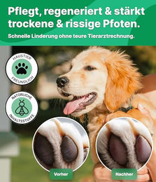 Emma Grün Pfoten- und Schnauzenbalsam für Hunde zur Pfotenpflege ohne Konservierungsstoffe 100ml - 100 ml – Bild 1 von 6