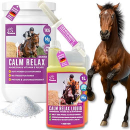 EMMA Magnesium Pferd Ergänzungsfutter mit Vitamin B12 und L-Tryptophan zur Beruhigung 1kg - 1 l – Bild 1 von 10