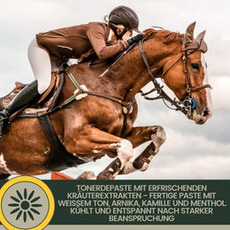 EMMA Tonerde Paste mit Arnika für Pferde 3x1,5kg zur Regeneration von Muskeln Gelenken und Sehnen - 3 x 1,5 kg – Bild 1 von 3
