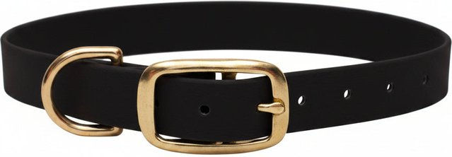Emmy & Pepe Biothane Halsband Schwarz XS 16mm mit Goldbeschlag – Bild 1 von 1