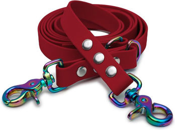 Emmy & Pepe Biothaneleine Bordeaux 20mm 1.20m mit Scherenkarabiner Regenbogen – Bild 1 von 1