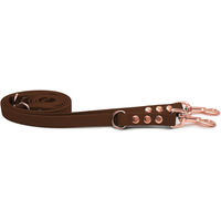 Produktbild von Emmy & Pepe Biothaneleine Braun 20mm 1.20m mit Bolzenkarabiner Rosegold