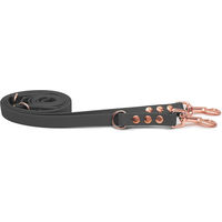 Produktbild von Emmy & Pepe Biothaneleine Grau 25mm 2m mit Bolzenkarabiner Rosegold