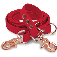 Produktbild von Emmy & Pepe Biothaneleine Magenta 25mm 2m mit Bolzenkarabiner Gold