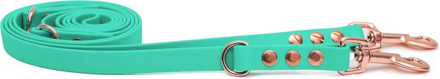 Emmy & Pepe Biothaneleine Mint 16mm 1.20m mit Bolzenkarabiner Rosegold – Bild 1 von 1